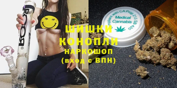 СК Осинники