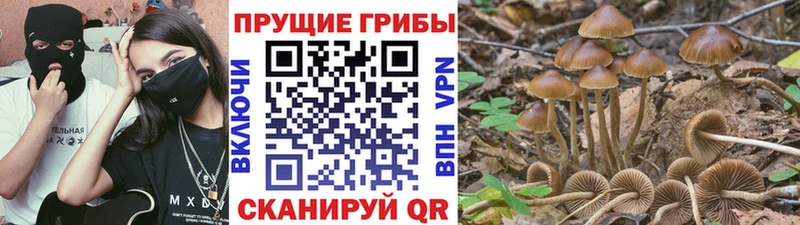 Псилоцибиновые грибы ЛСД Алексеевка